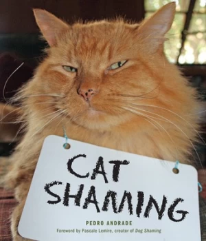 Image of Cat Shaming by Pedro Andrade Book