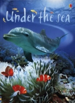 Image of Under the Sea by Fiona Patchett and Tetsuo Kushii and Zo Wray and Margaret Rostron and Alison Kelly Hardback