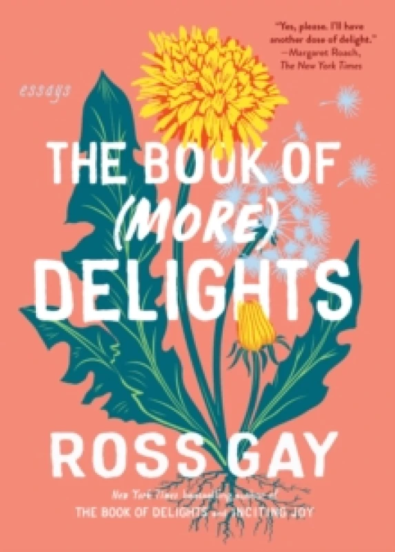 Image of The Book of (More) Delights : Essays Paperback / softback