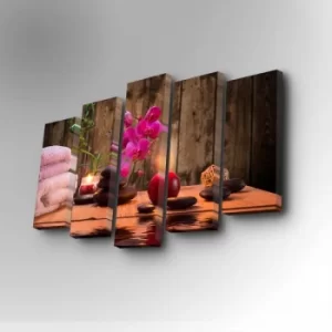 Image of 5PUC-044 Multicolor Decorative Canvas Painting (5 Pieces)