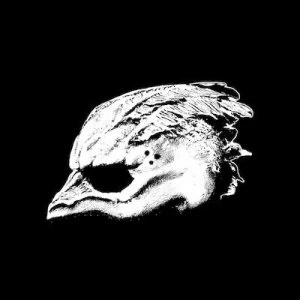 image of Legend of the Seagullmen by Legend of the Seagullmen CD Album