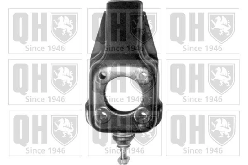 Image of QUINTON HAZELL Repair Kit, stub axle QUINTON HAZELL QSJ839AS
