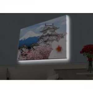Image of 4570HDACT-090 Multicolor Decorative LED Lighted Canvas Painting