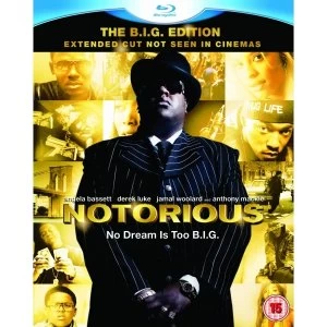 Image of Notorious Bluray