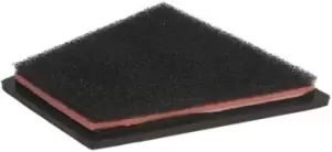 Image of PIPERCROSS Air filter VW,SKODA,SEAT PP1599 Engine air filter,Engine filter