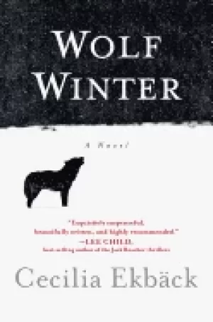 Image of wolf winter
