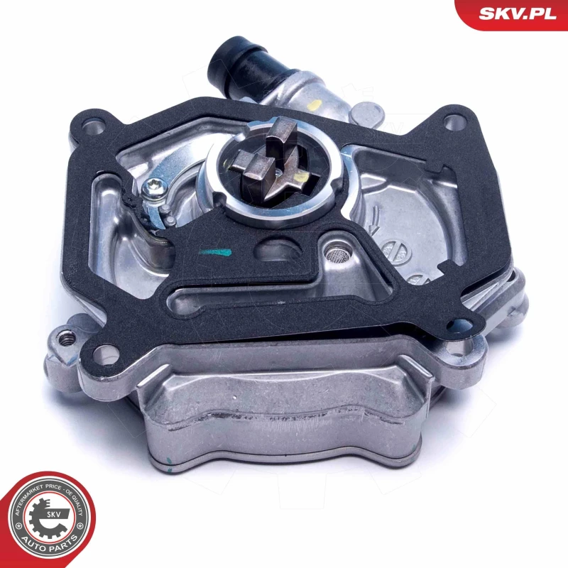 Image of ESEN SKV Brake vacuum pump ESEN SKV 18SKV063