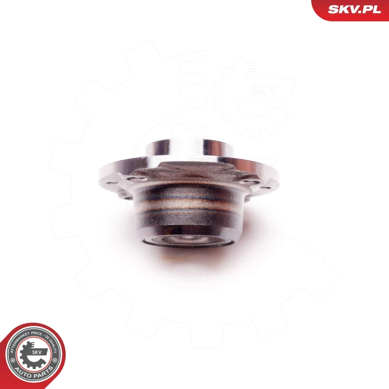 Image of ESEN SKV Wheel bearing kit ESEN SKV 29SKV022
