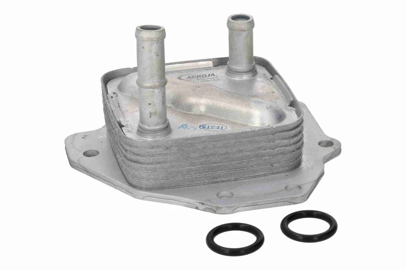 Image of ACKOJA Engine oil cooler ACKOJA A70-60-0025