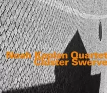 Image of Cluster Swerve