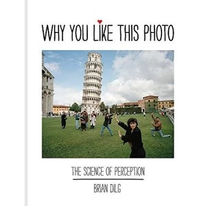 Image of Why You Like This Photo: The science of perception, and how we understand photographs by Brian Dilg (Hardback, 2017)