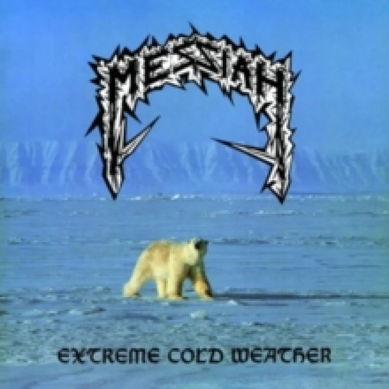 Image of Extreme cold weather Vinyl
