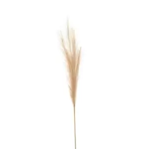 image of Bleached Faux Pampas Grass Stem