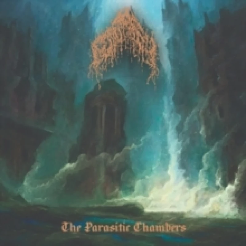 Image of The parasitic chambers Vinyl