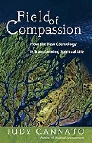 Image of field of compassion how the new cosmology is transforming spiritual life