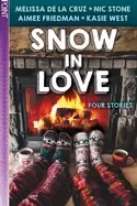Image of snow in love