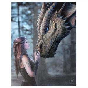 Image of Small Once Upon A TimeCanvas Picture By Anne Stokes