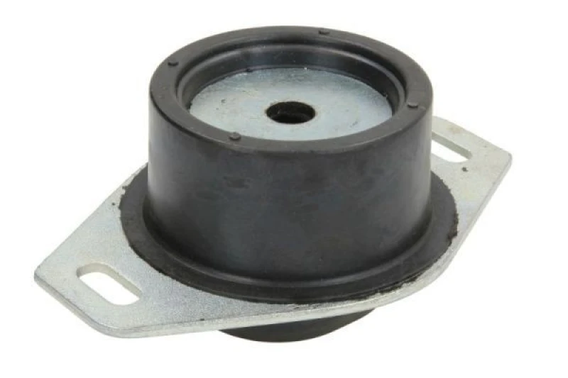 Image of REINHOCH Holder, engine mounting REINHOCH RH11-2049