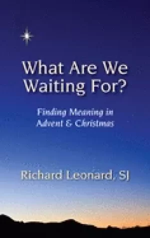 Image of what are we waiting for finding meaning in advent and christmas