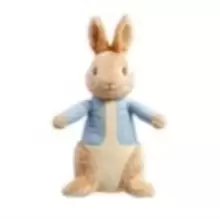 image of 24cm Peter Rabbit Soft Toy