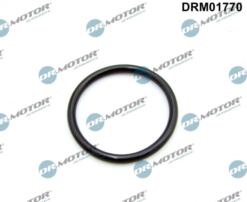 Image of DR.MOTOR AUTOMOTIVE Gasket, coolant flange DR.MOTOR AUTOMOTIVE DRM01770