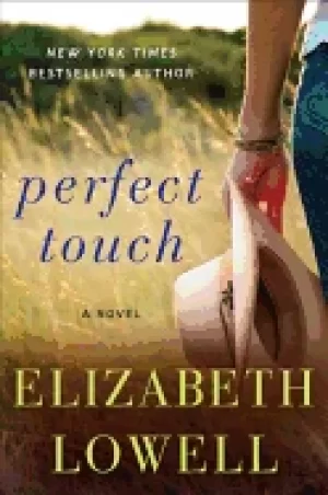 Image of perfect touch a novel