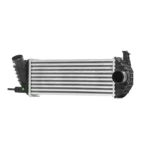 image of RIDEX Intercooler Core Dimensions: 385x143x64 468I0142 Turbo Intercooler,Intercooler, charger RENAULT,KANGOO (KC0/1_),KANGOO / GRAND KANGOO (KW0/1_)