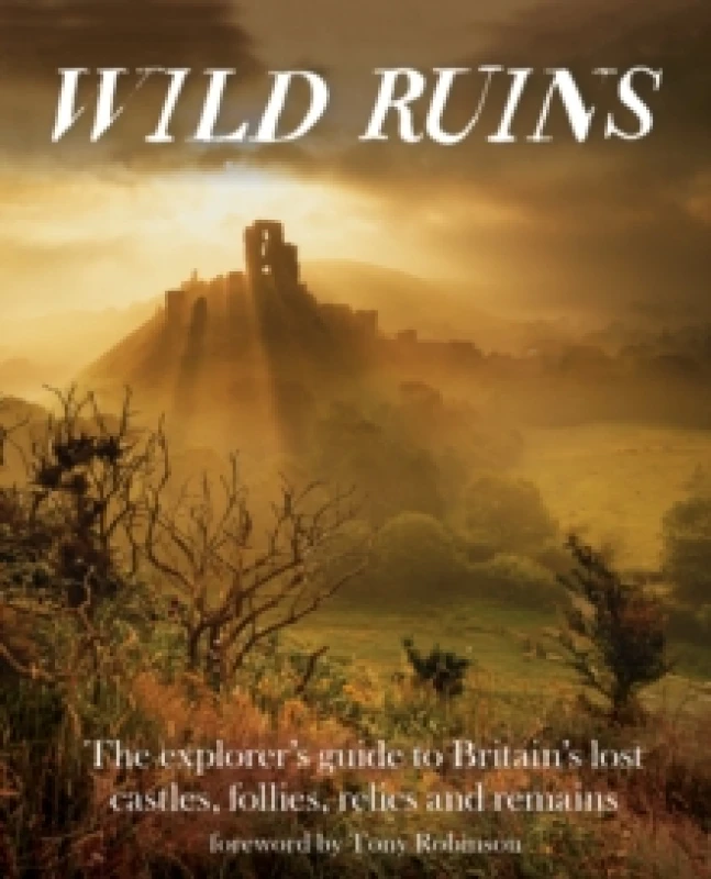 Image of Wild Ruins by Dave Hamilton Paperback