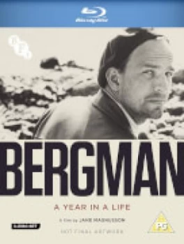 Image of Ingmar Bergman: A Year in A Life