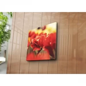 Image of 4545NAT-22 Multicolor Decorative Canvas Painting