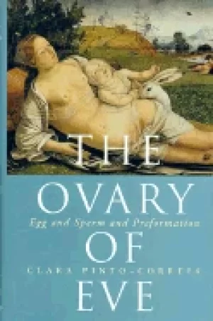 Image of ovary of eve egg and sperm and preformation