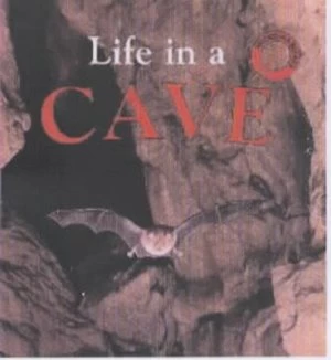 Image of Life in a Cave by Clare Oliver Hardback
