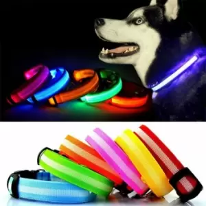 Image of Adjustable LED Flashing Light Safety Luminous Dog Puppy Pet Glowing Collar - Blue - Medium - Bunty