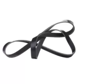 Image of RIDEX V-ribbed belt OPEL,PEUGEOT,HYUNDAI 305P0213 5750R0,96129654,96155379 96144327,0149971392,1340650,1340657,24419361,6340667,90581641,9118721