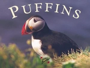 Image of Puffins by K Taylor Book