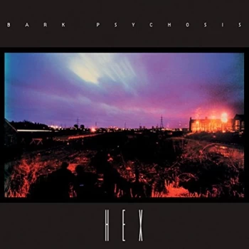 Image of Bark Psychosis - Hex Vinyl