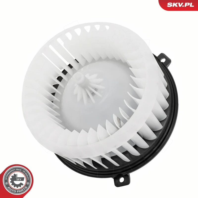 Image of ESEN SKV Blower motor ESEN SKV 68SKV256