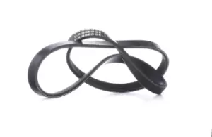 Image of RIDEX V-ribbed belt 305P0019 Serpentine belt,Auxiliary belt FORD,RENAULT,FIAT,TRANSIT MK-7 Kasten,Transit V363 Kastenwagen (FCD, FDD)