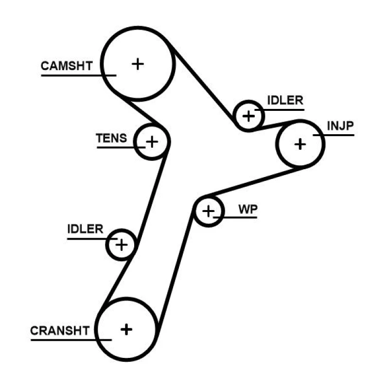 Image of GATES Timing Belt GATES 5695XS
