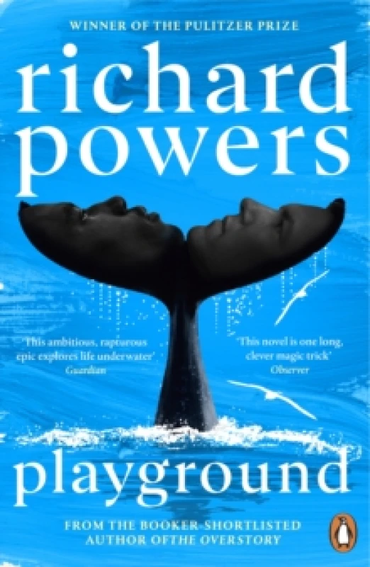 Image of Playground Paperback / softback