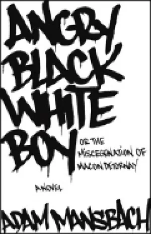 Image of angry Black white boy a novel