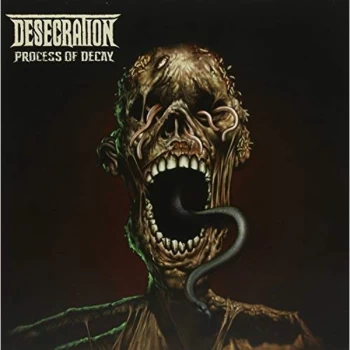 Image of Desecration - Process of Decay Vinyl