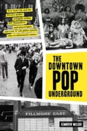 Image of downtown pop underground new york city and the literary punks renegade art