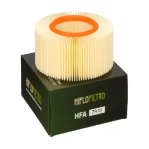 image of HIFLOFILTRO Air Filter - HFA7910 BMW