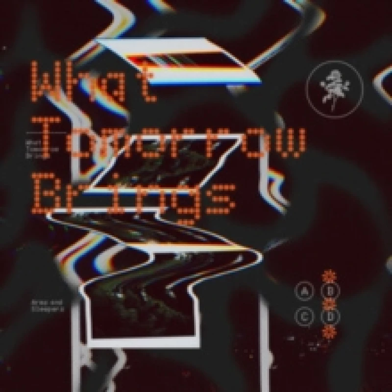 Image of What tomorrow brings Vinyl