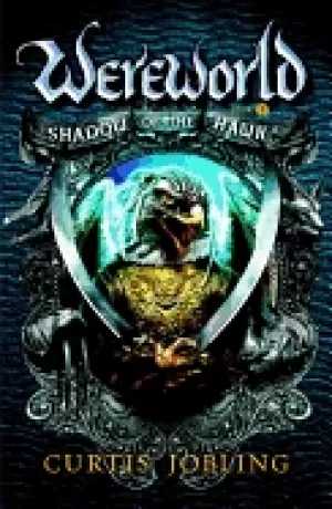 Image of shadow of the hawk