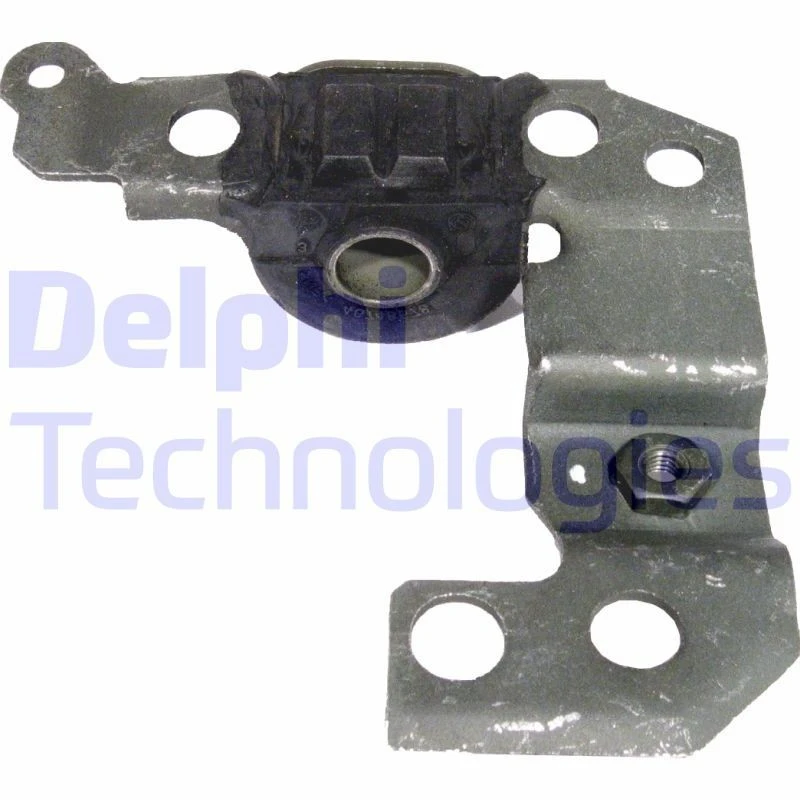Image of DELPHI Trailing arm / Suspension arm bush DELPHI TD434W