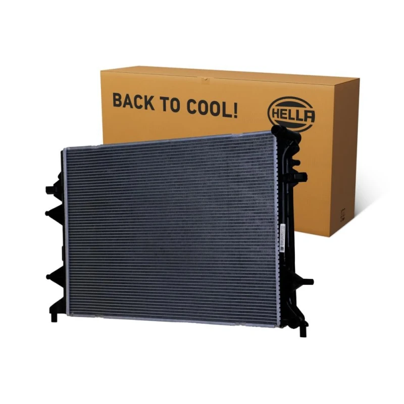 Image of HELLA Engine radiator HELLA 8MK 366 301-451