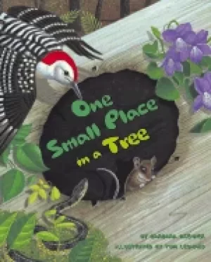 Image of one small place in a tree