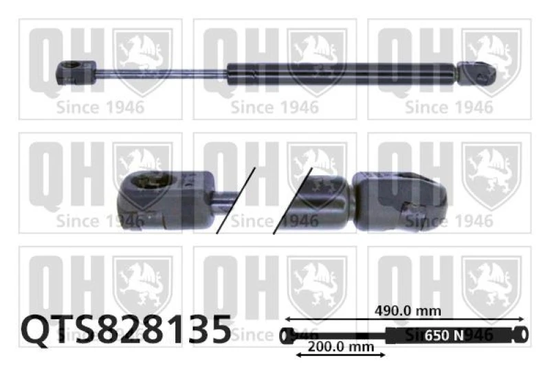 Image of QUINTON HAZELL Tailgate strut QUINTON HAZELL QTS828135